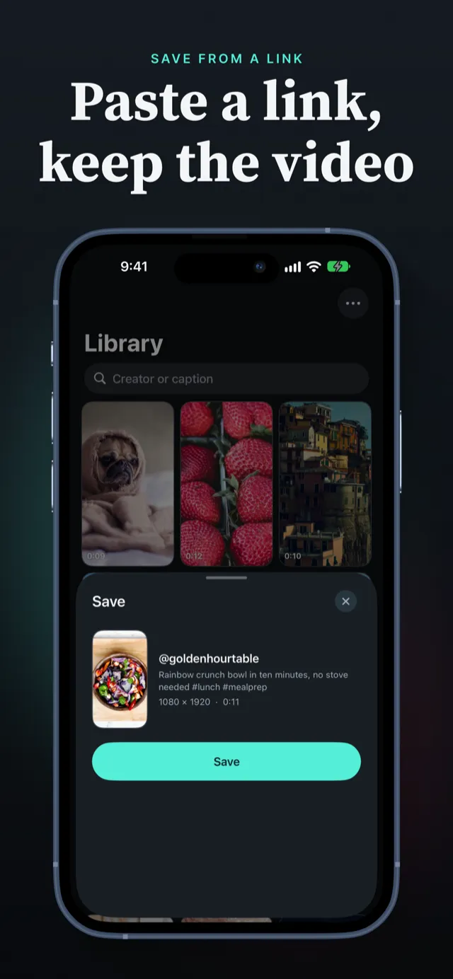 PocketTok saving a TikTok video on iPhone