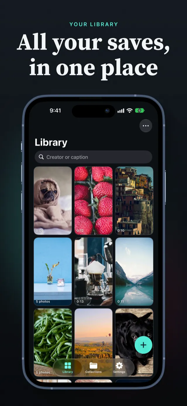 PocketTok library of saved TikTok videos